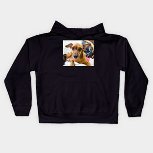 Red miniature pinscher dog portrait Kids Hoodie